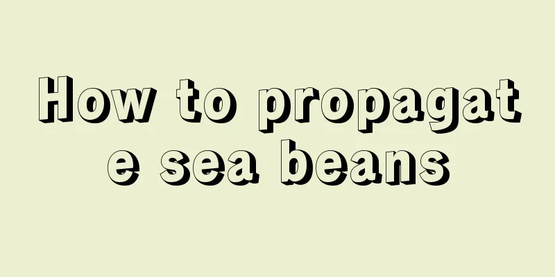 How to propagate sea beans