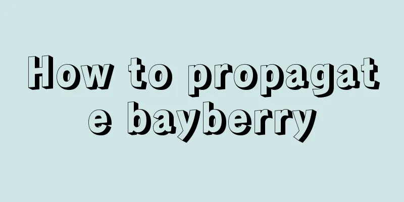 How to propagate bayberry