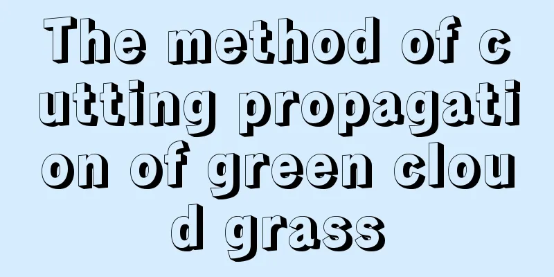 The method of cutting propagation of green cloud grass