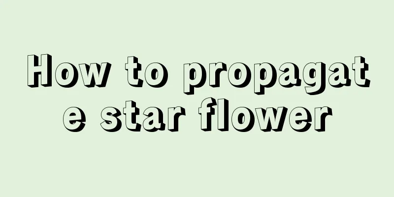 How to propagate star flower