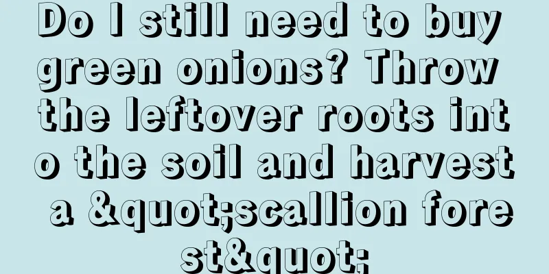 Do I still need to buy green onions? Throw the leftover roots into the soil and harvest a "scallion forest"