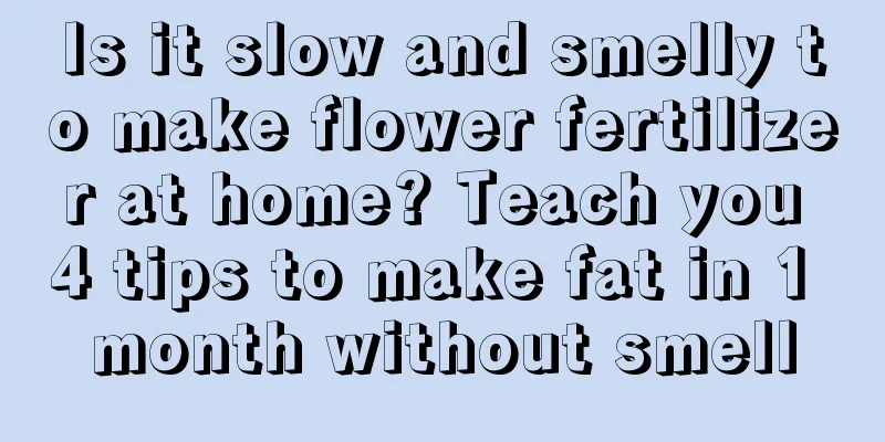 Is it slow and smelly to make flower fertilizer at home? Teach you 4 tips to make fat in 1 month without smell