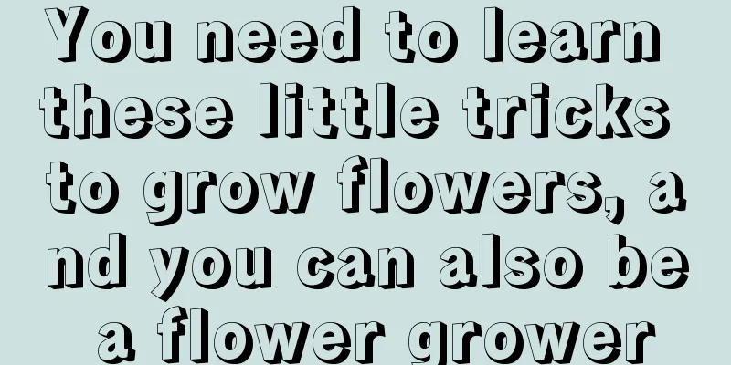 You need to learn these little tricks to grow flowers, and you can also be a flower grower