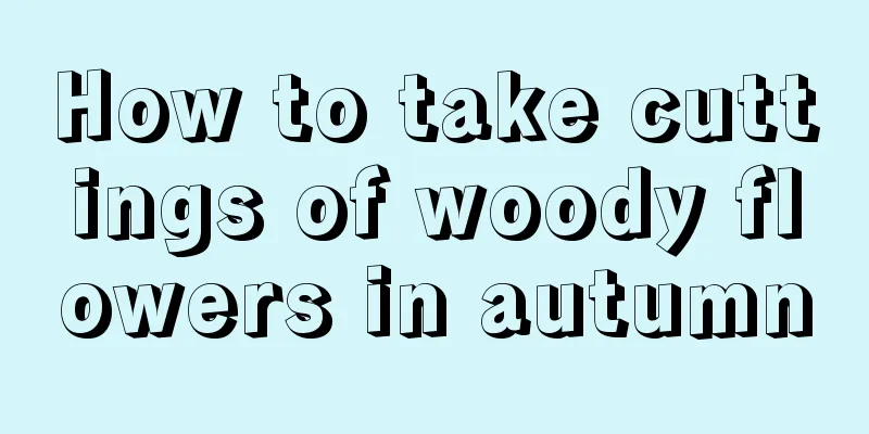 How to take cuttings of woody flowers in autumn