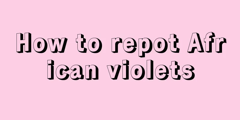 How to repot African violets