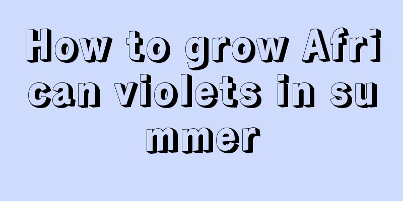 How to grow African violets in summer