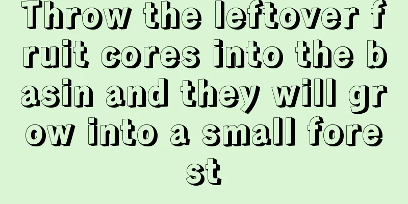 Throw the leftover fruit cores into the basin and they will grow into a small forest