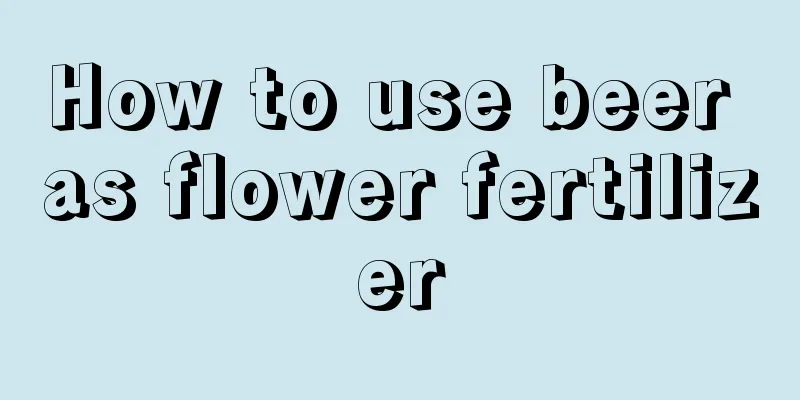 How to use beer as flower fertilizer