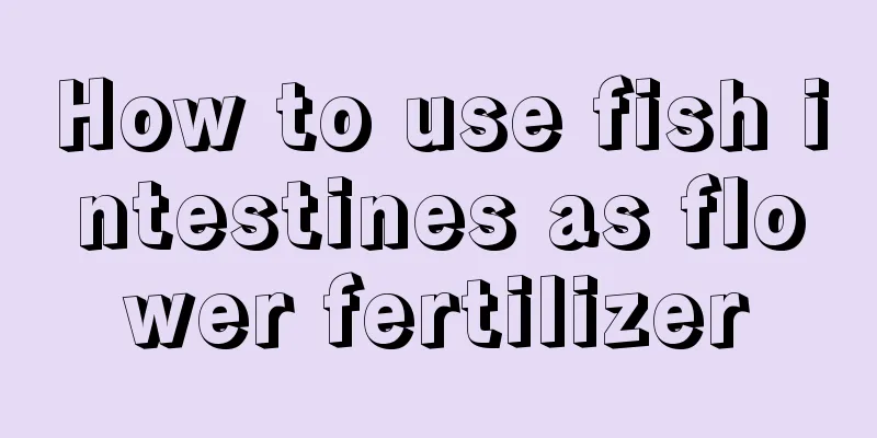 How to use fish intestines as flower fertilizer