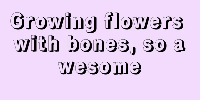 Growing flowers with bones, so awesome