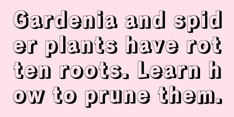 Gardenia and spider plants have rotten roots. Learn how to prune them.