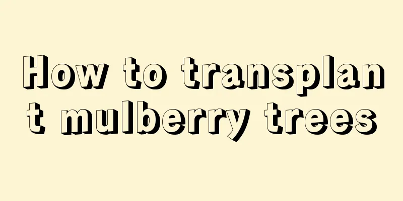 How to transplant mulberry trees