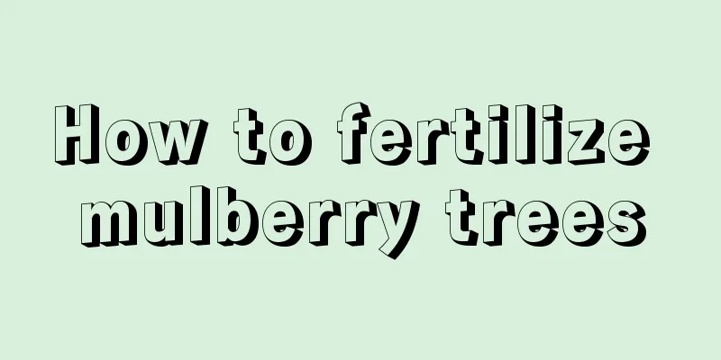 How to fertilize mulberry trees