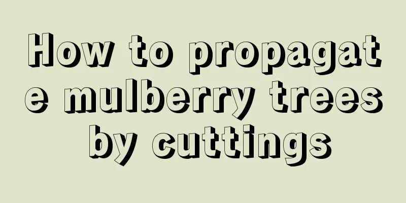 How to propagate mulberry trees by cuttings