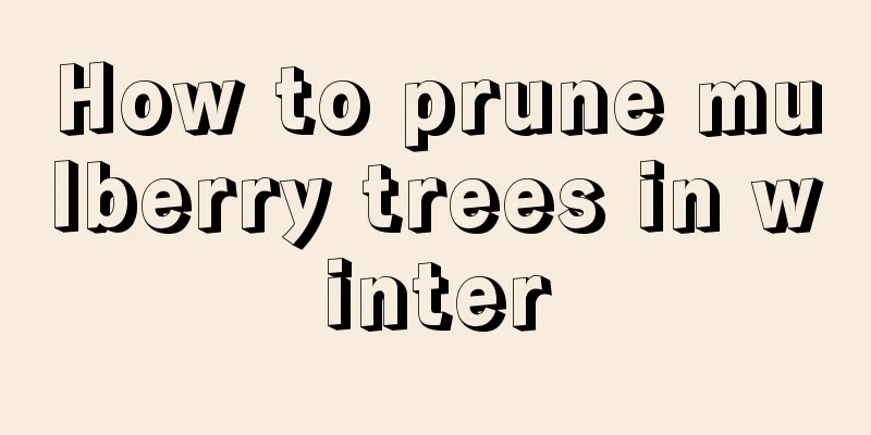 How to prune mulberry trees in winter