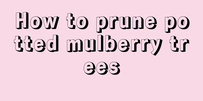 How to prune potted mulberry trees