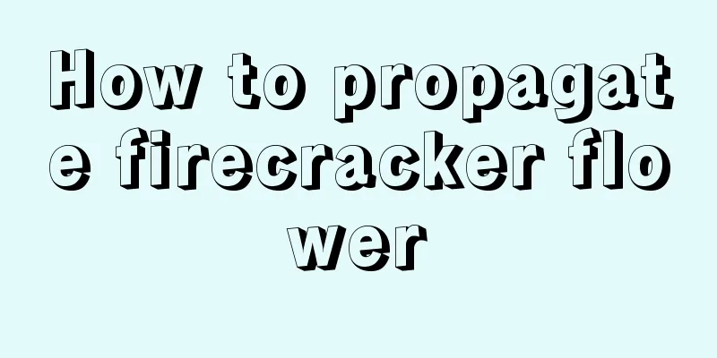 How to propagate firecracker flower