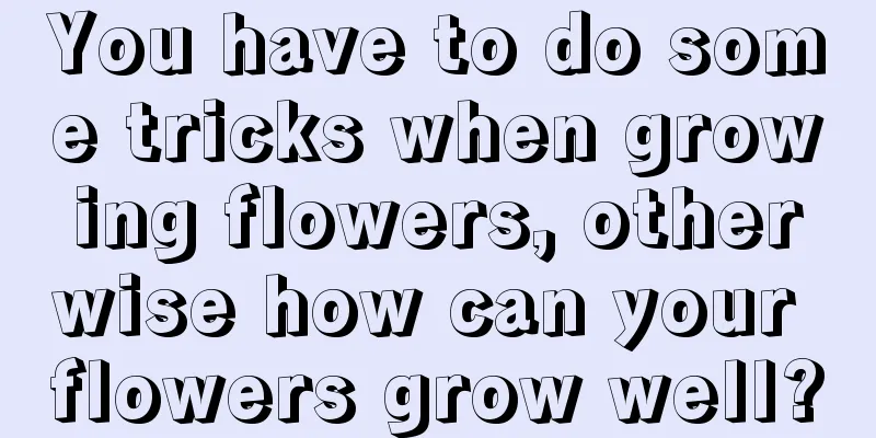 You have to do some tricks when growing flowers, otherwise how can your flowers grow well?