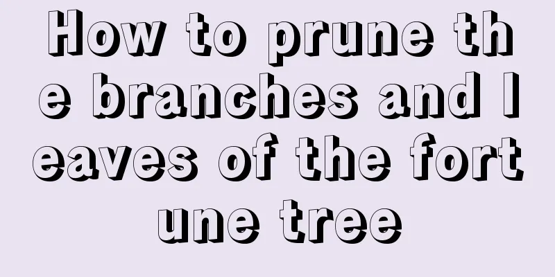 How to prune the branches and leaves of the fortune tree