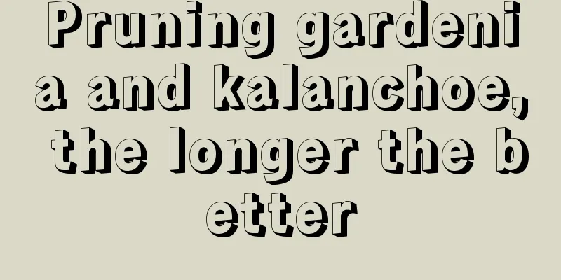 Pruning gardenia and kalanchoe, the longer the better