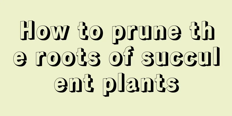 How to prune the roots of succulent plants