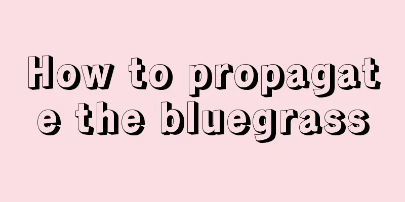 How to propagate the bluegrass