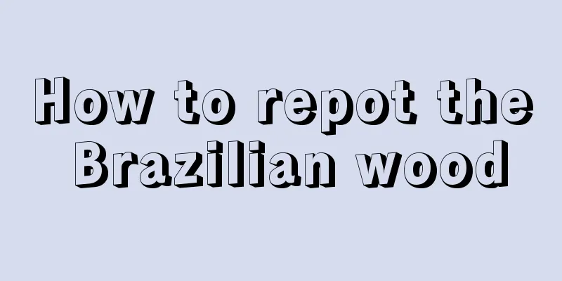 How to repot the Brazilian wood