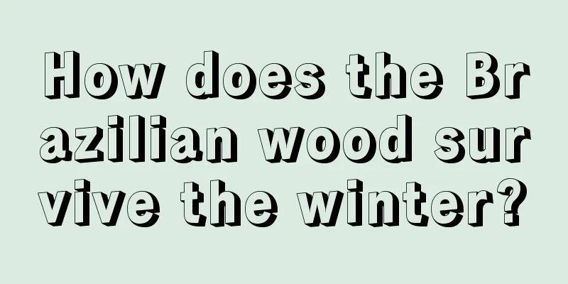 How does the Brazilian wood survive the winter?