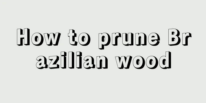 How to prune Brazilian wood