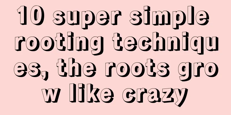 10 super simple rooting techniques, the roots grow like crazy