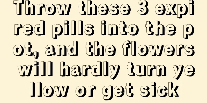 Throw these 3 expired pills into the pot, and the flowers will hardly turn yellow or get sick