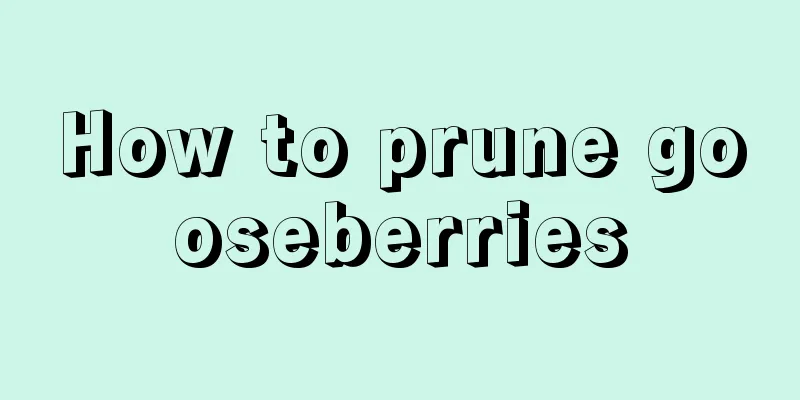 How to prune gooseberries