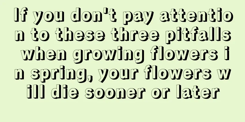 If you don't pay attention to these three pitfalls when growing flowers in spring, your flowers will die sooner or later