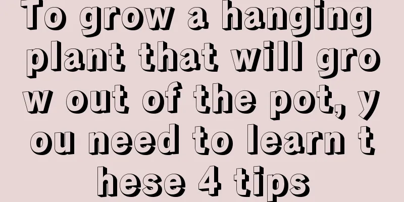 To grow a hanging plant that will grow out of the pot, you need to learn these 4 tips