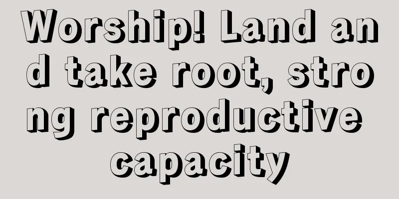 Worship! Land and take root, strong reproductive capacity