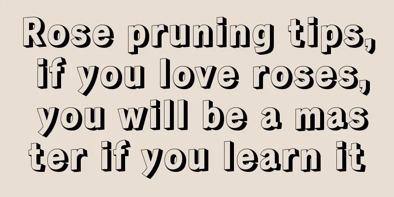 Rose pruning tips, if you love roses, you will be a master if you learn it