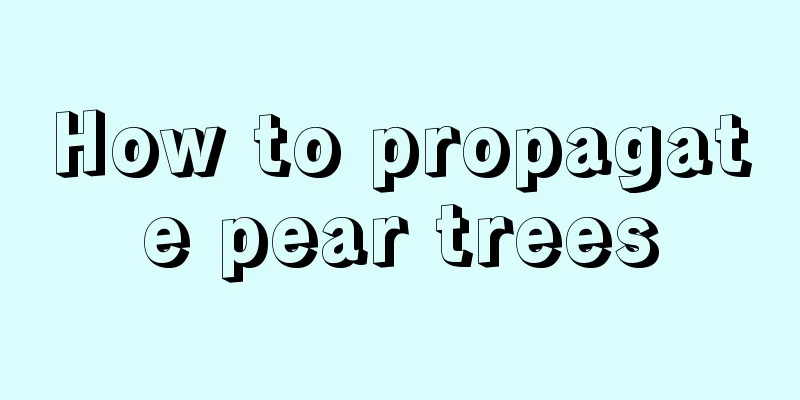 How to propagate pear trees