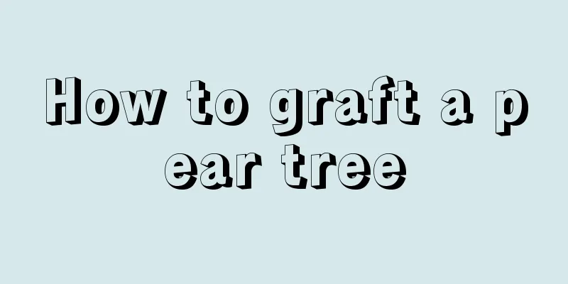 How to graft a pear tree