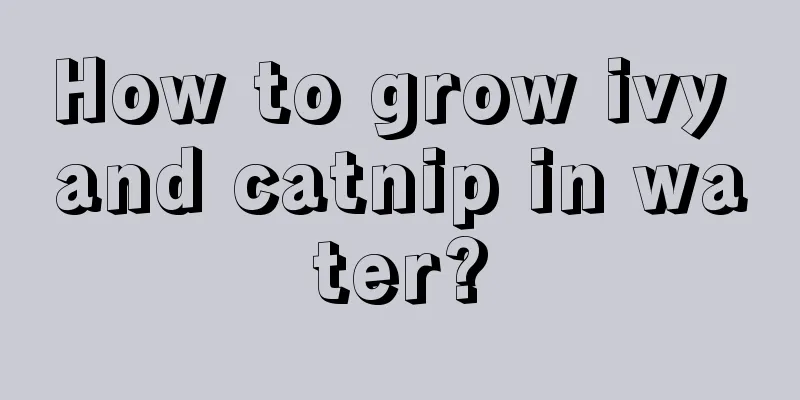 How to grow ivy and catnip in water?