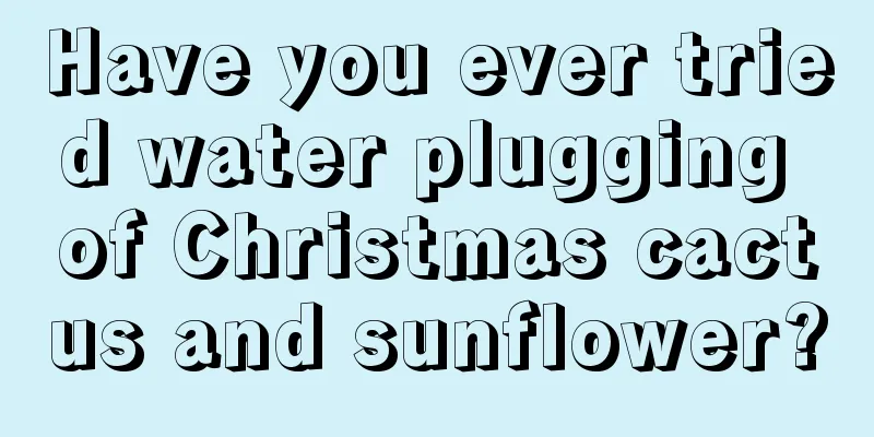 Have you ever tried water plugging of Christmas cactus and sunflower?