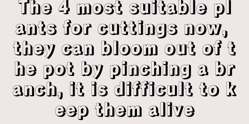 The 4 most suitable plants for cuttings now, they can bloom out of the pot by pinching a branch, it is difficult to keep them alive