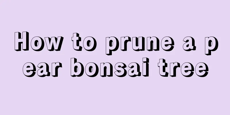 How to prune a pear bonsai tree