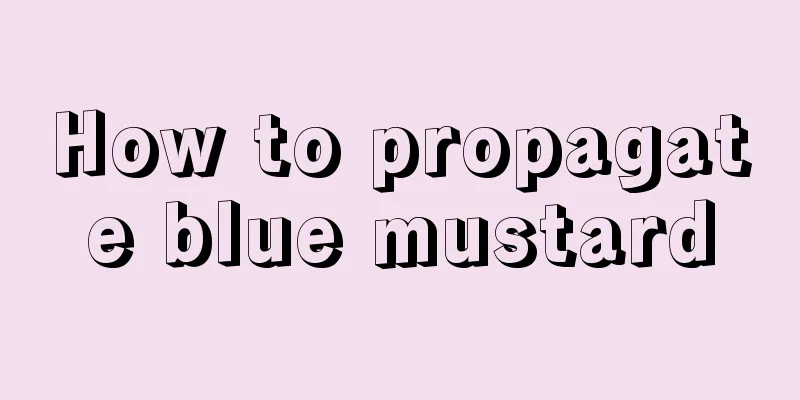 How to propagate blue mustard