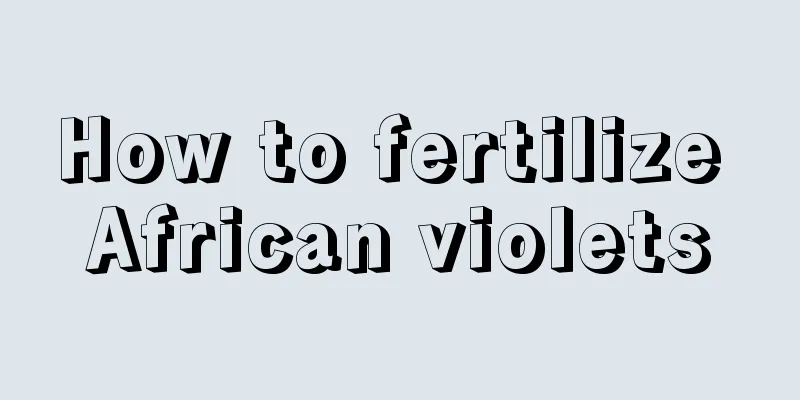 How to fertilize African violets