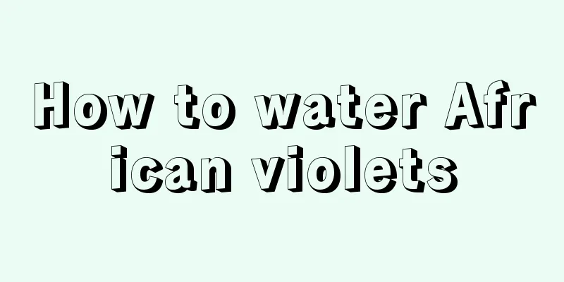 How to water African violets