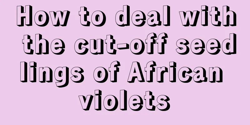 How to deal with the cut-off seedlings of African violets