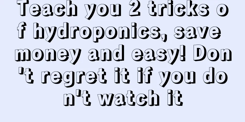 Teach you 2 tricks of hydroponics, save money and easy! Don't regret it if you don't watch it