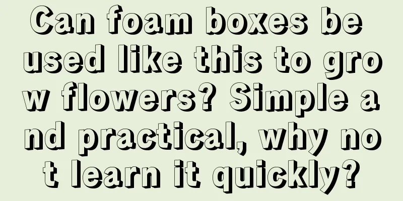 Can foam boxes be used like this to grow flowers? Simple and practical, why not learn it quickly?