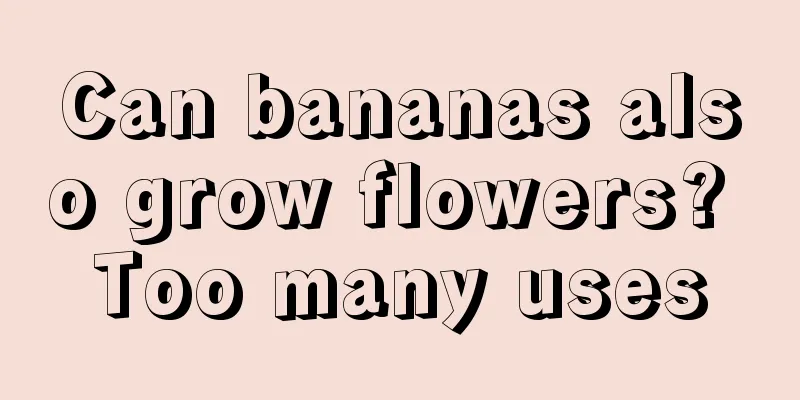 Can bananas also grow flowers? Too many uses