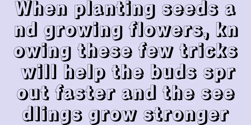 When planting seeds and growing flowers, knowing these few tricks will help the buds sprout faster and the seedlings grow stronger